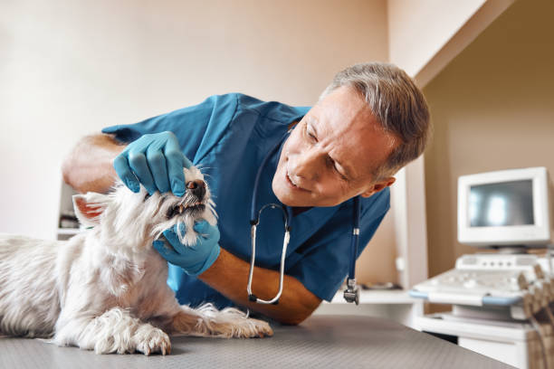 Best Emergency Tooth Extraction in Sunflower, MS